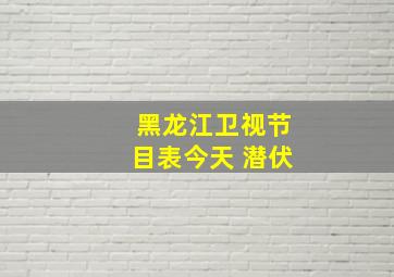 黑龙江卫视节目表今天 潜伏